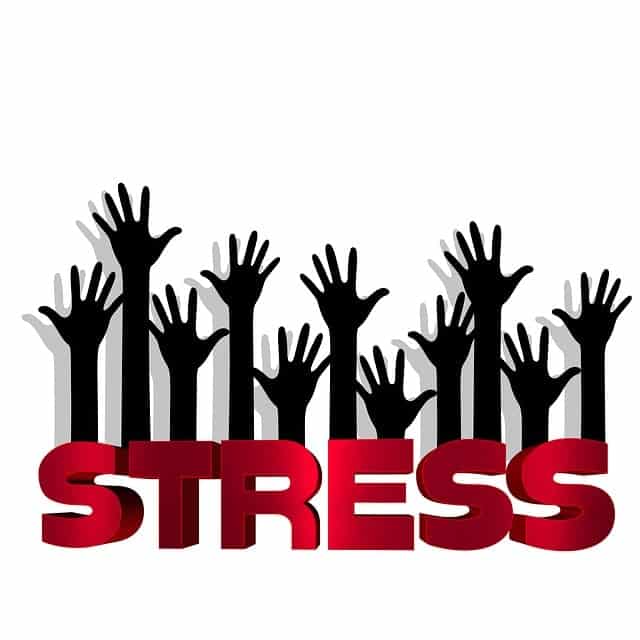 Got Stress? We Have Effective, Natural Ways to Get Relief